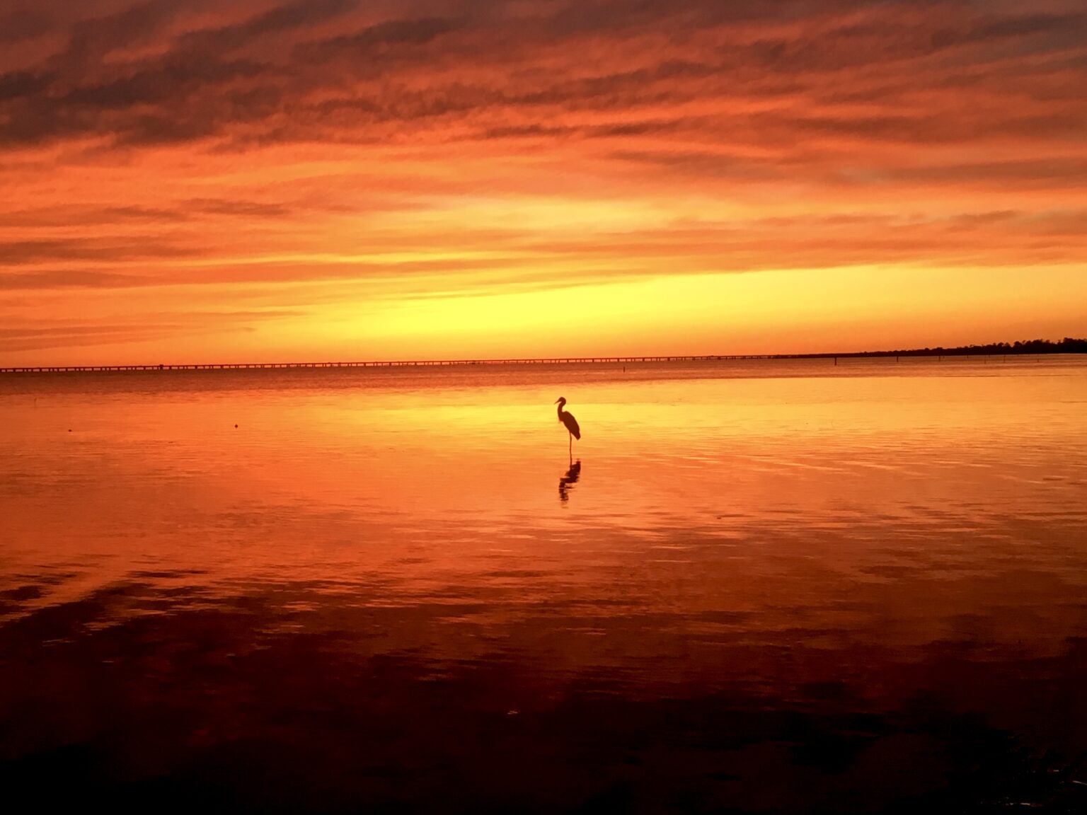 on-the-bayou-louisiana-outdoor-expo