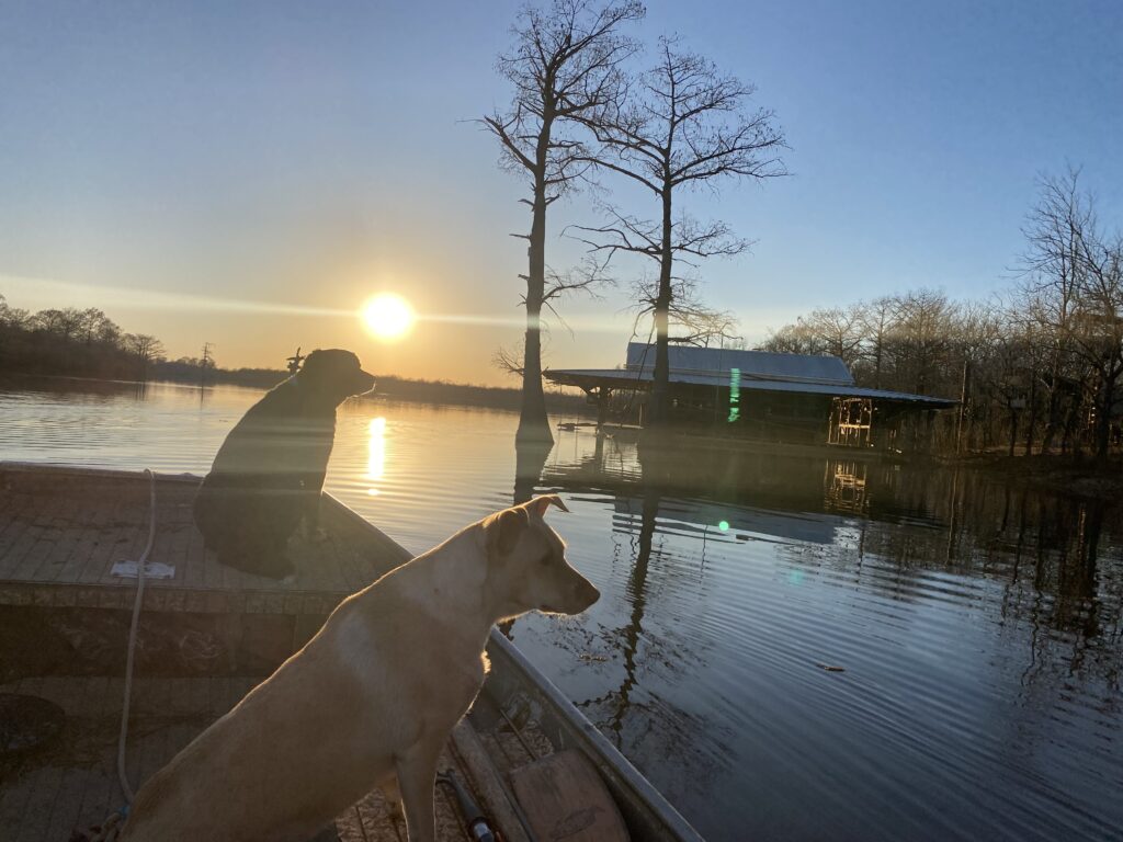 An evening on the river with man’s best friends