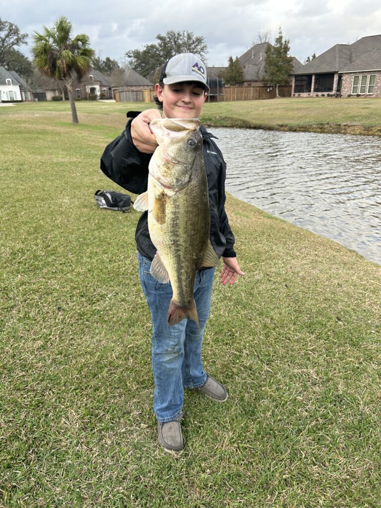 5.5 lb bass