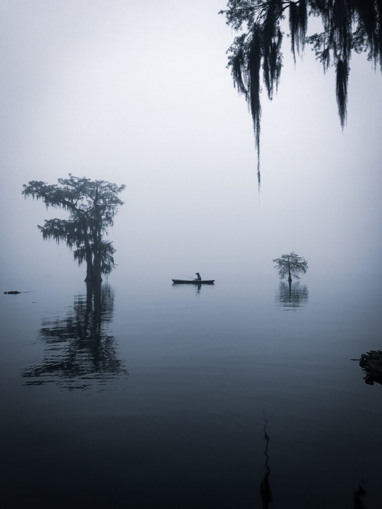 Foggy Lake Martin