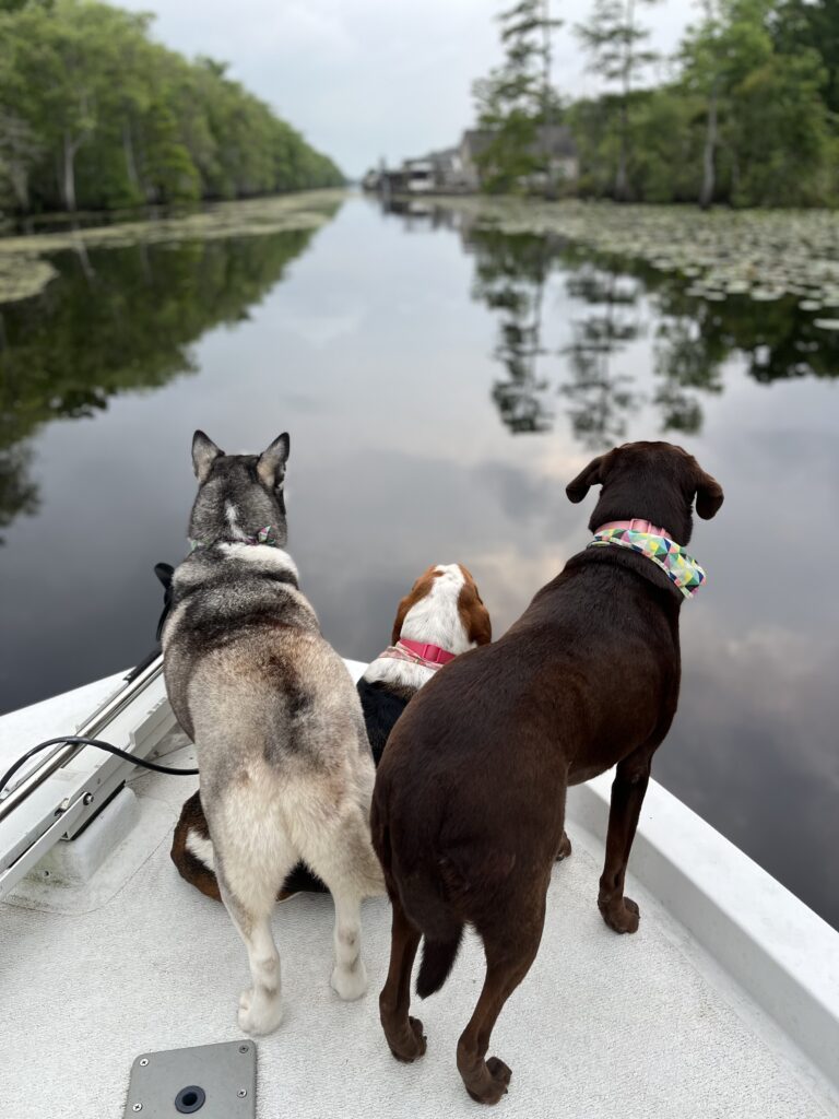 Canine Captains of the bayou!