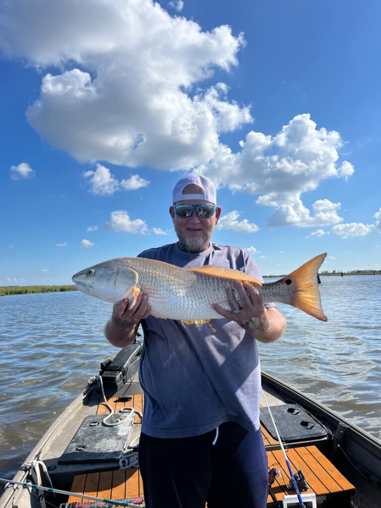 Bull reds in Lafitte