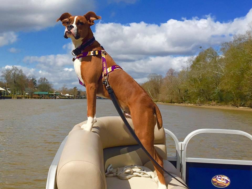 BB loving cruising on the river