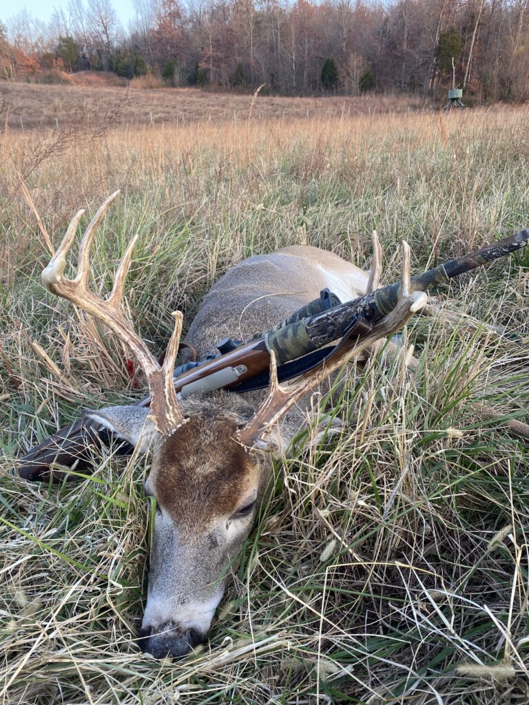 Deer Kentucky